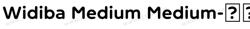 Widiba Medium Medium字体转换 Widiba Medium Medium字体转换